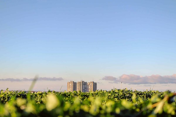 Quelles initiatives locales soutenir pour un développement durable ?