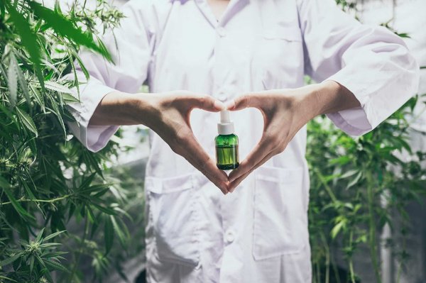 Plante médicinale: un antalgique rapide, sûr et efficace